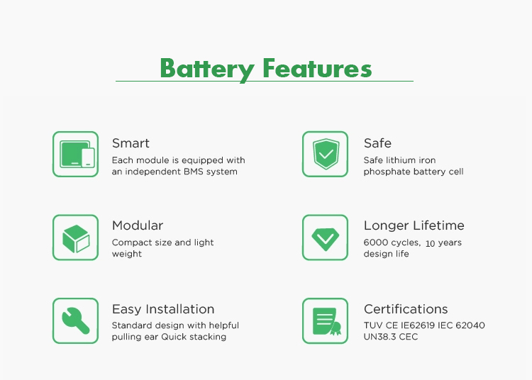 Lithium Ion Polymer Battery 48V 100AH