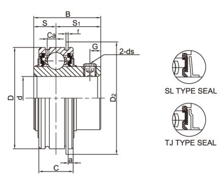 Chrome Steel Bearing Insert SER210