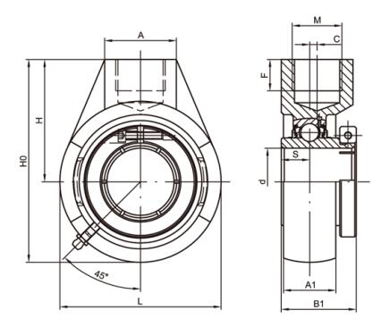 Hanger Bearing Housing UEHA210