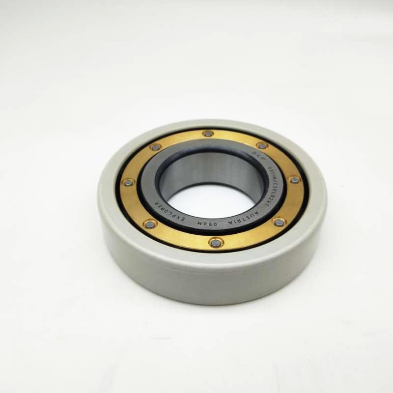 Outer Ring Insulated Bearing 6311M/C3VL0241