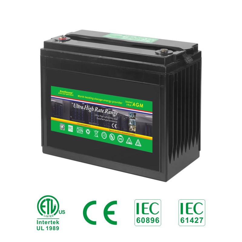 Ultra High Rate VRLA/AGM Battery for UPS Use