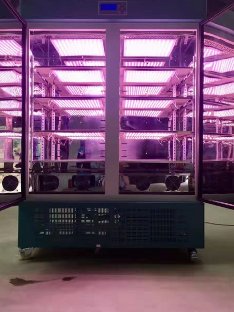 artificial climate incubator