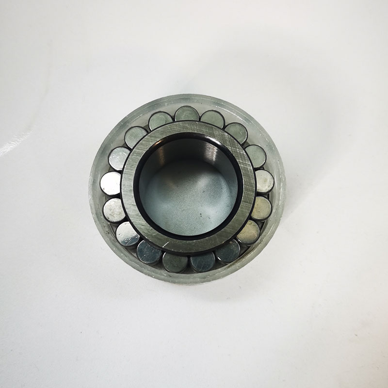 F-210408 Cylindrical Roller Bearing