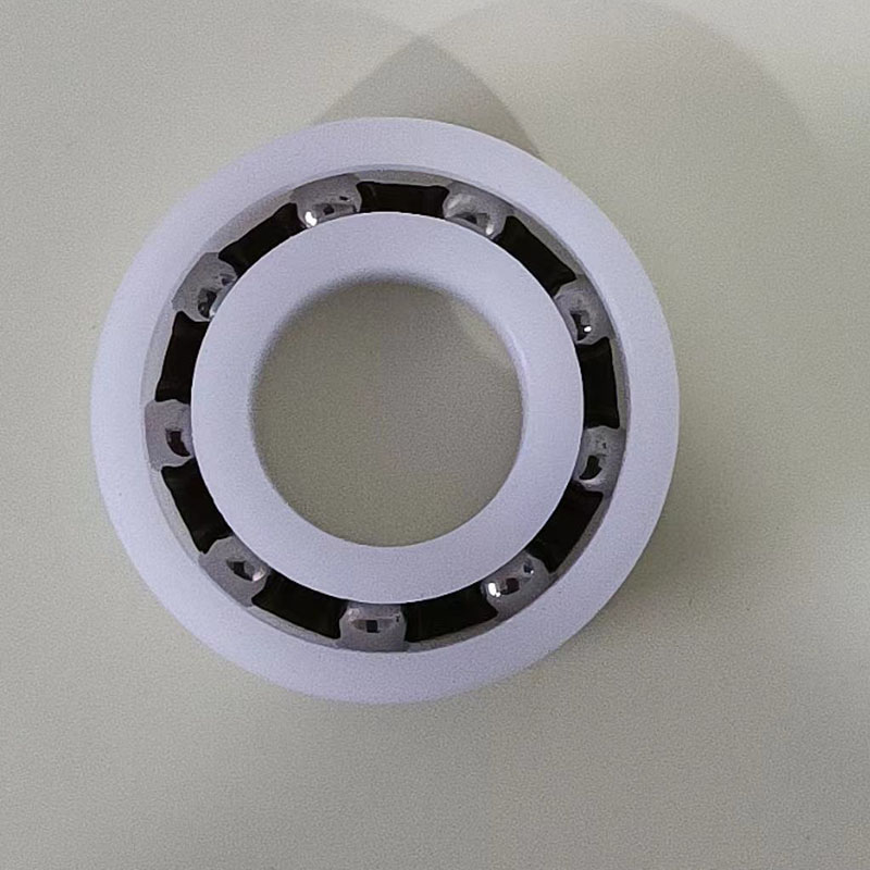 6005 POM Plastic Bearings